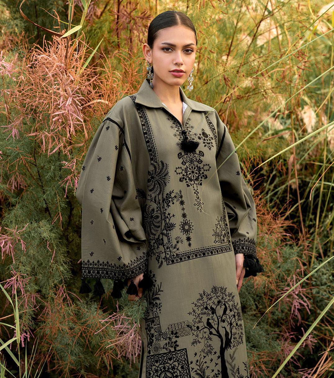 RANG-E-HAYA KHADDAR 2 PIECE