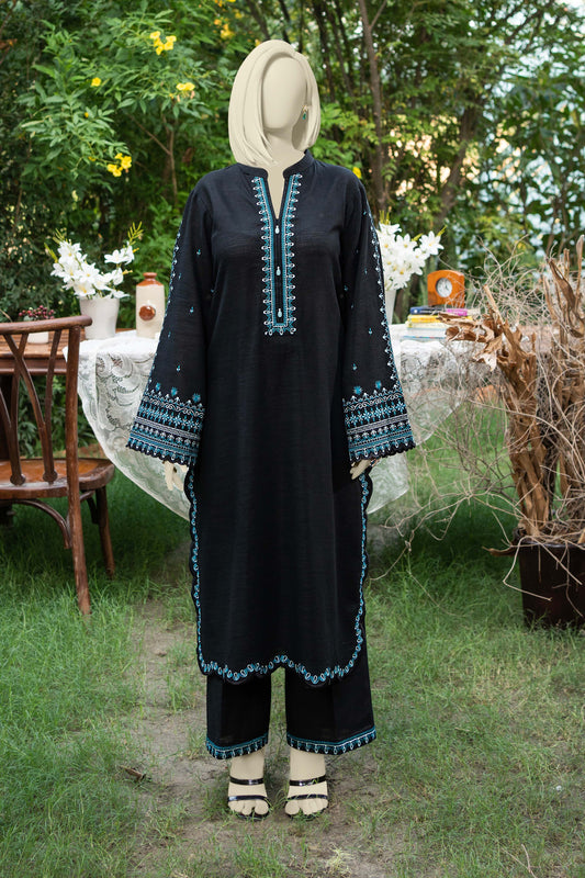 NOOR E NAZAR EMBORIDERD 2 PCS